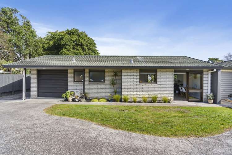 5c Cameron Road Te Puke_1