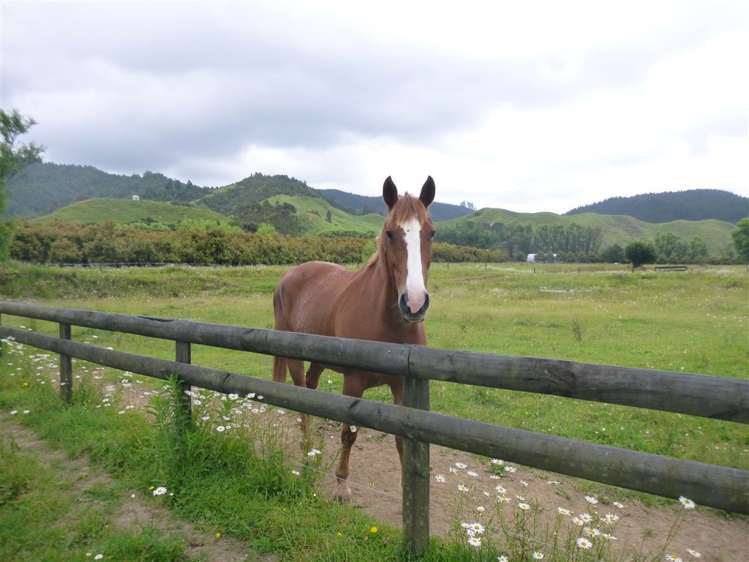 336 Wentworth Valley Road Whangamata_17