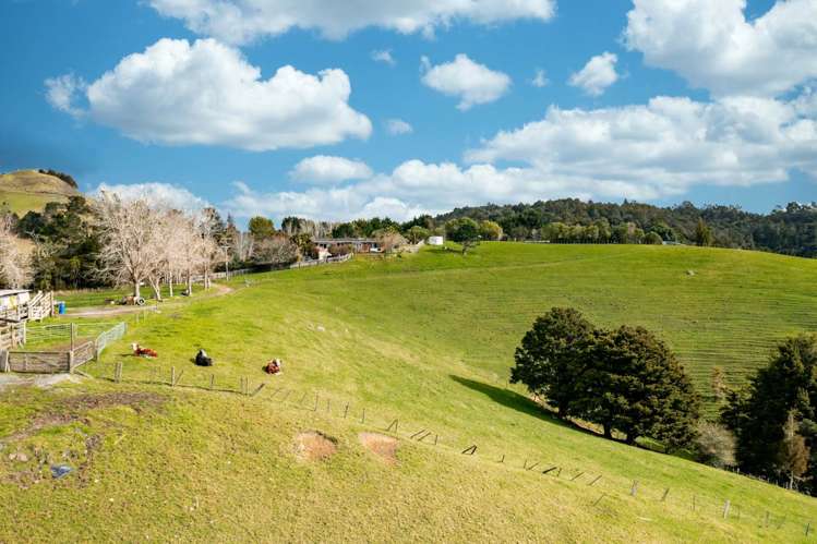 365 Pigs Head Road Hukerenui and Surrounds_13