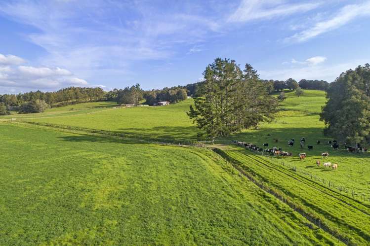 1323 SH One - Lot 1 Hikurangi_8