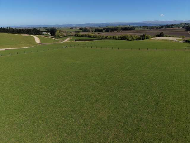 Awamoa Road Oamaru_4