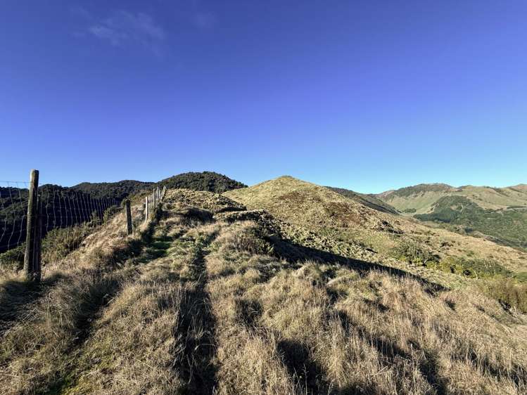 7957 State Highway 2 Opotiki Surrounds_16