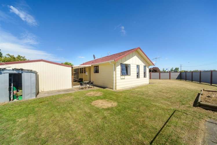 2 Walton Street Bulls_18