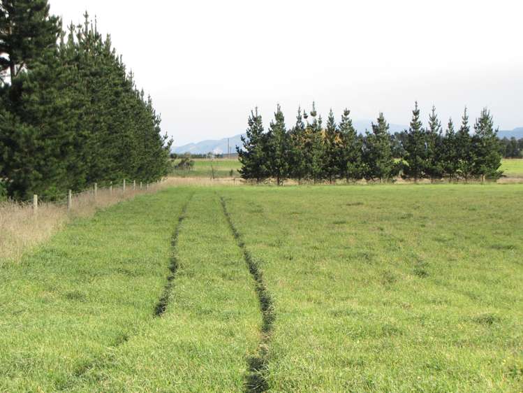 12 Kingfisher Lane Loburn_10