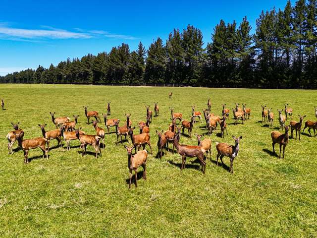 1542 Te Anau Mossburn Highway Te Anau Surrounds_1