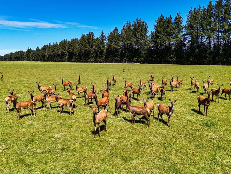 1542 Te Anau Mossburn Highway Te Anau Surrounds_1