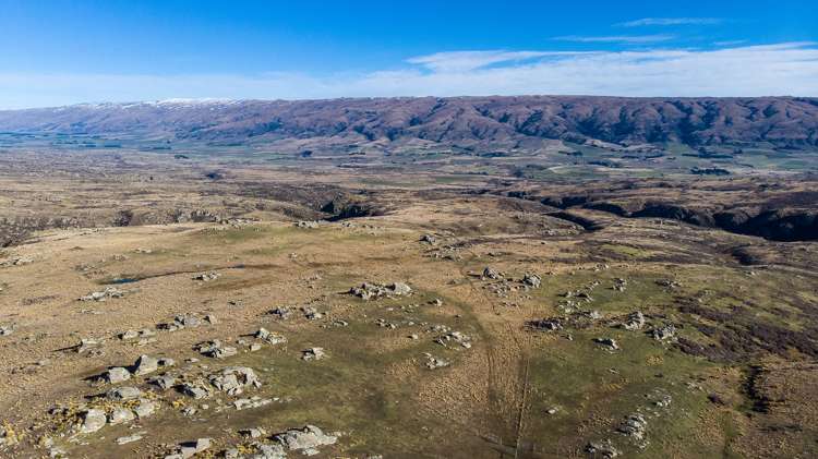 715 Hyde-Macraes Road Hyde_19