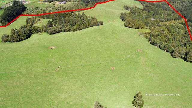 1676 Ponga Road Hunua_4