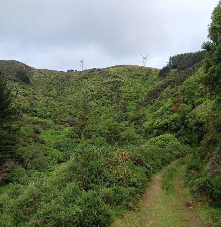 741 Makara Road Makara-ohariu_4