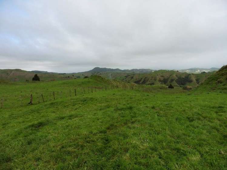 2837 State Highway 4 Aria_37