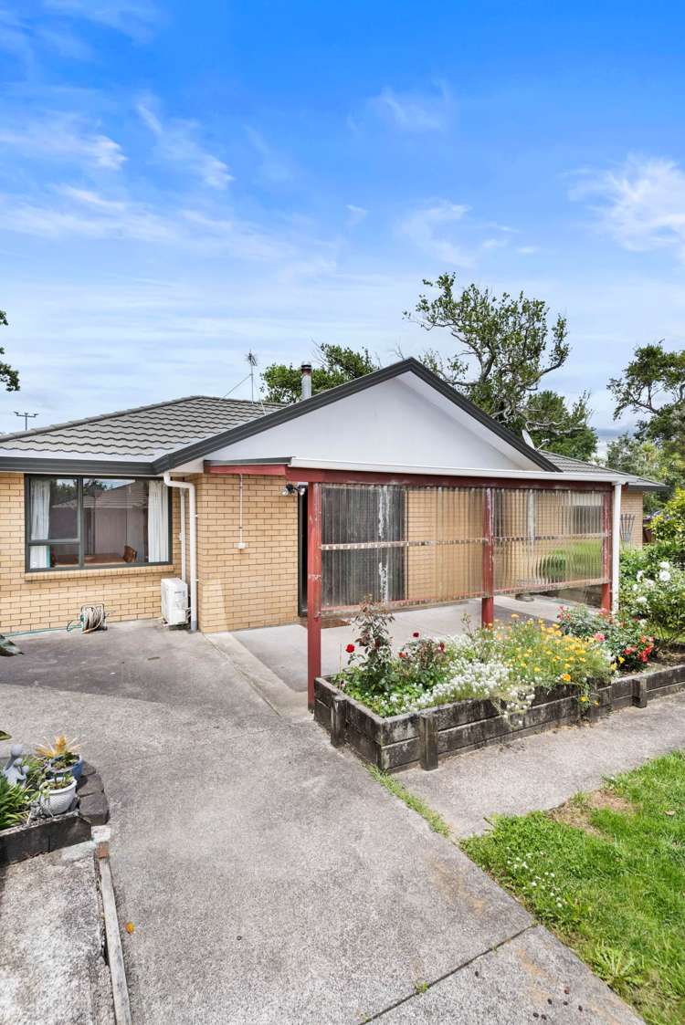 3 Carling Avenue Massey_25