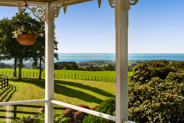 911 Plymouth Road Koru_30