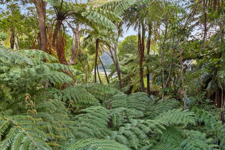 1694a Queen Charlotte Drive Linkwater_11