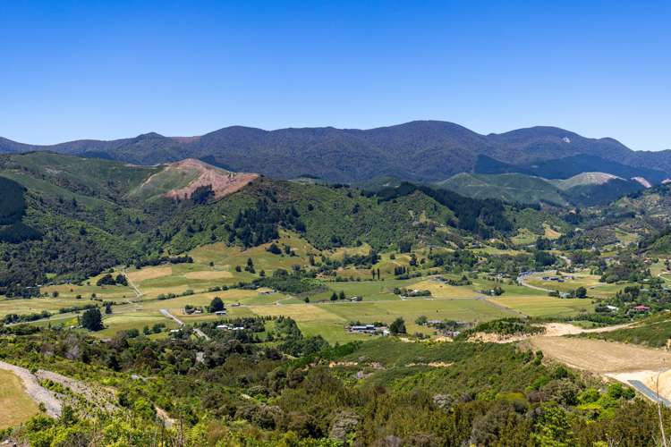 Cable Bay Road Hira_22