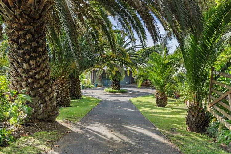 18b Wade Place Welcome Bay_25