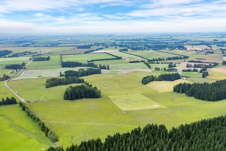 Steeles Road Hororata_5