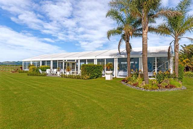 166 Main Road Matawhero_4