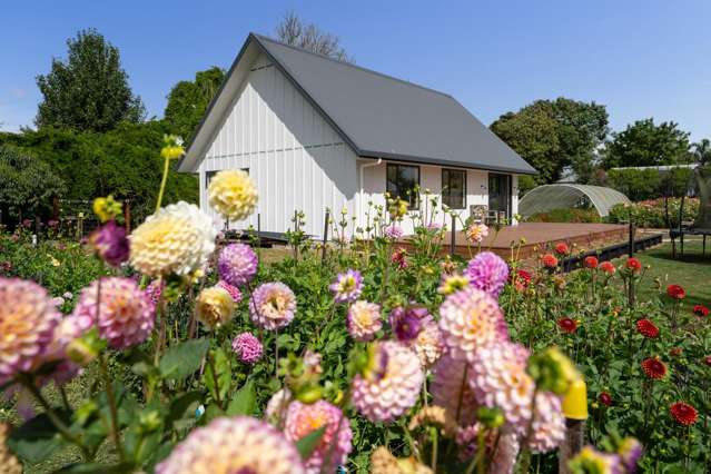 5/191 Racecourse Road Cambridge_2