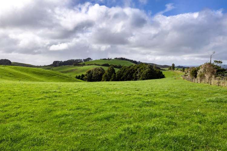 554 Maungatawhiri Road (bare block) Raglan_8