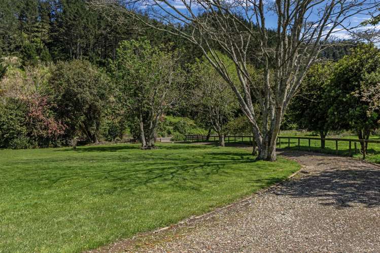 2338 State Highway 2 Opotiki_7