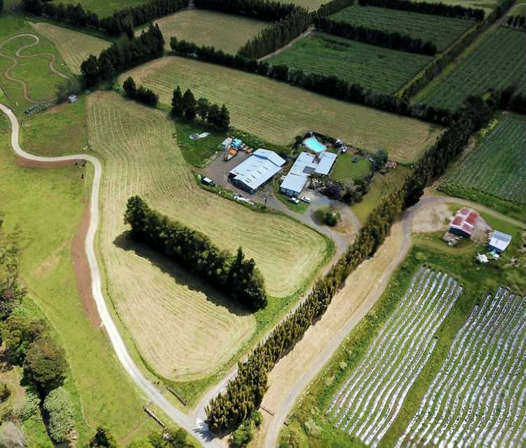 22 Limelight Lane Kerikeri_3