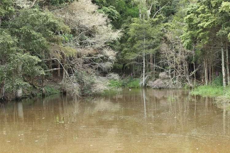 243c Mountain Road Maungaturoto_1