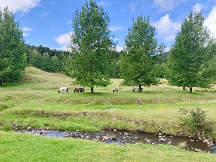 1819 Mataraua Road Kaikohe_31