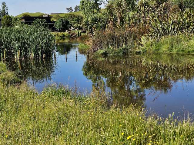 143C Smith Road Dannevirke_4