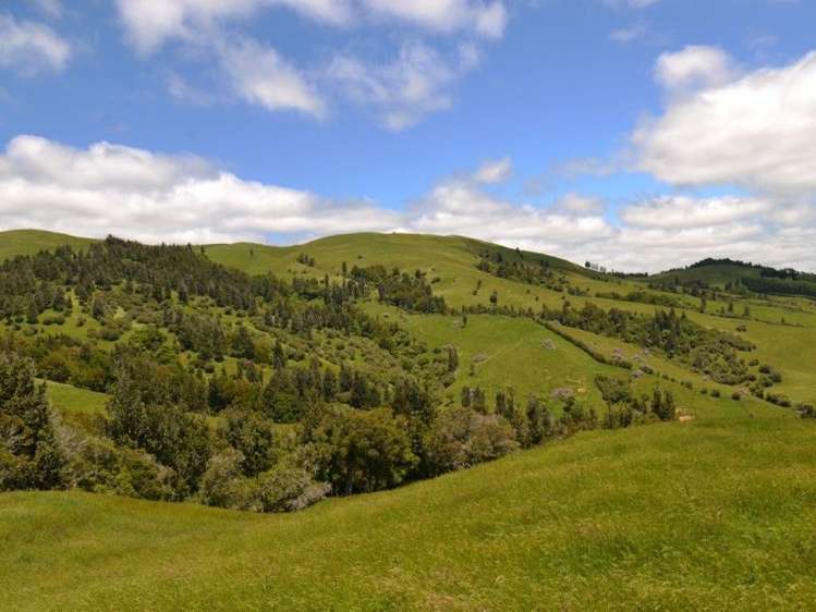 184 Grice Road Wharepuhunga_19