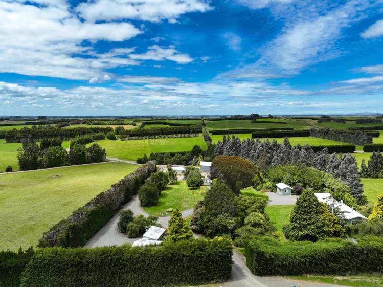 318 Waipango Ermedale Road Gummies Bush_6