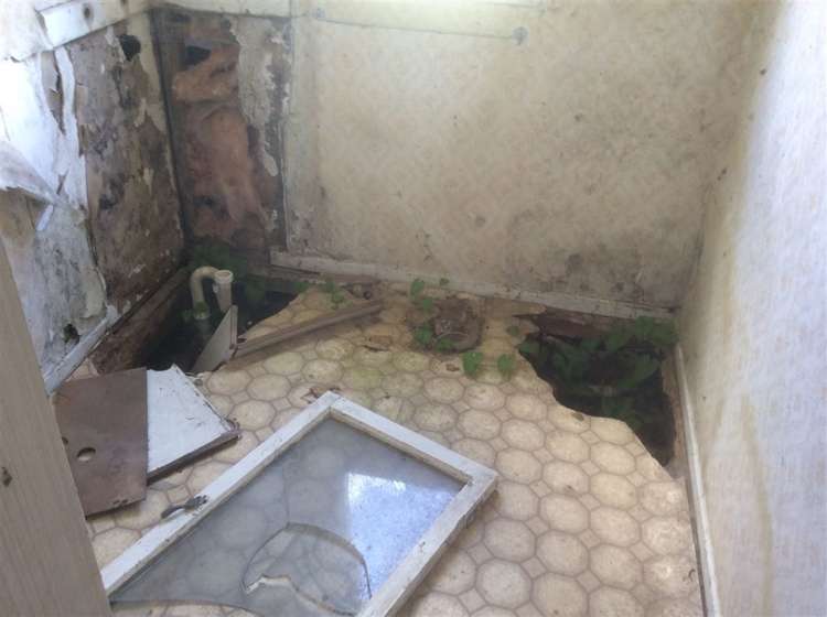 8 Kiwi Street Piopio_14