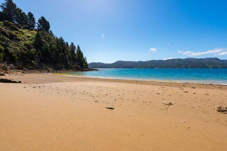 5575 Croisilles-French Pass Road Marlborough Sounds_29