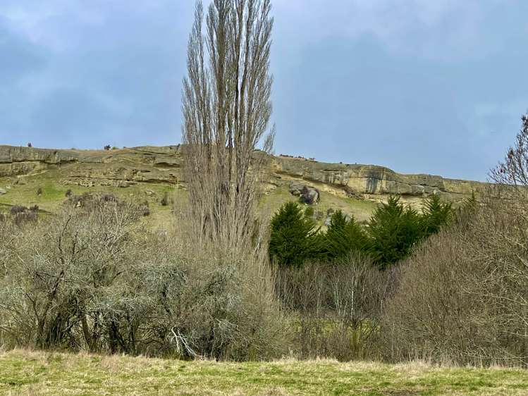 Hakataramea Highway Waimate_26