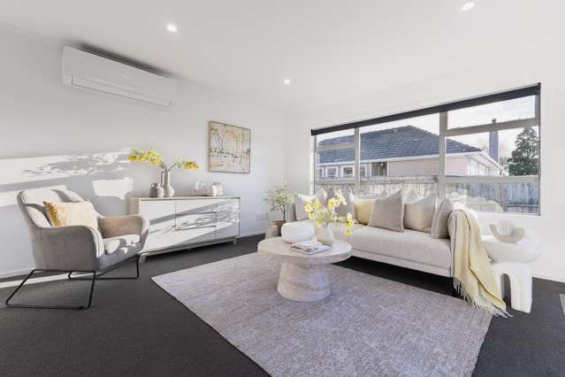 14A Princes Street Levin_4