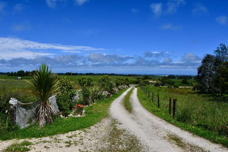 366 Oparara Loop Road Karamea_6