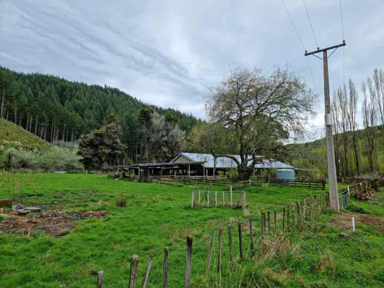 568 Morea Road Hawera_2