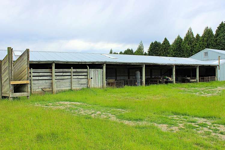 105 Lynwood Road Hillside_7