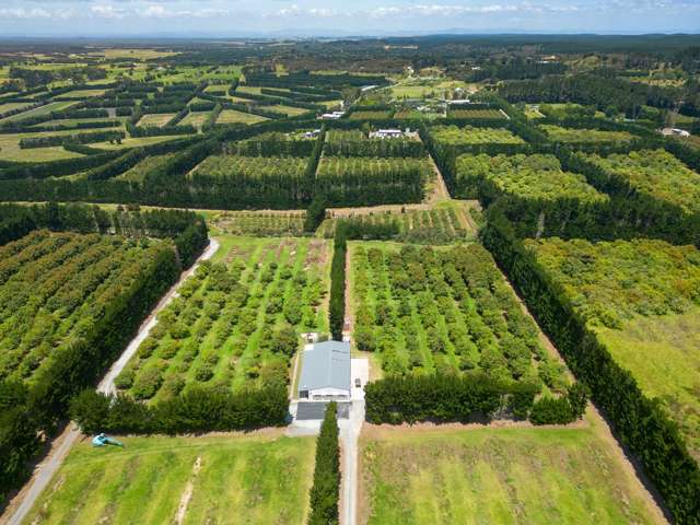 100 Whalers Road Pukenui_1