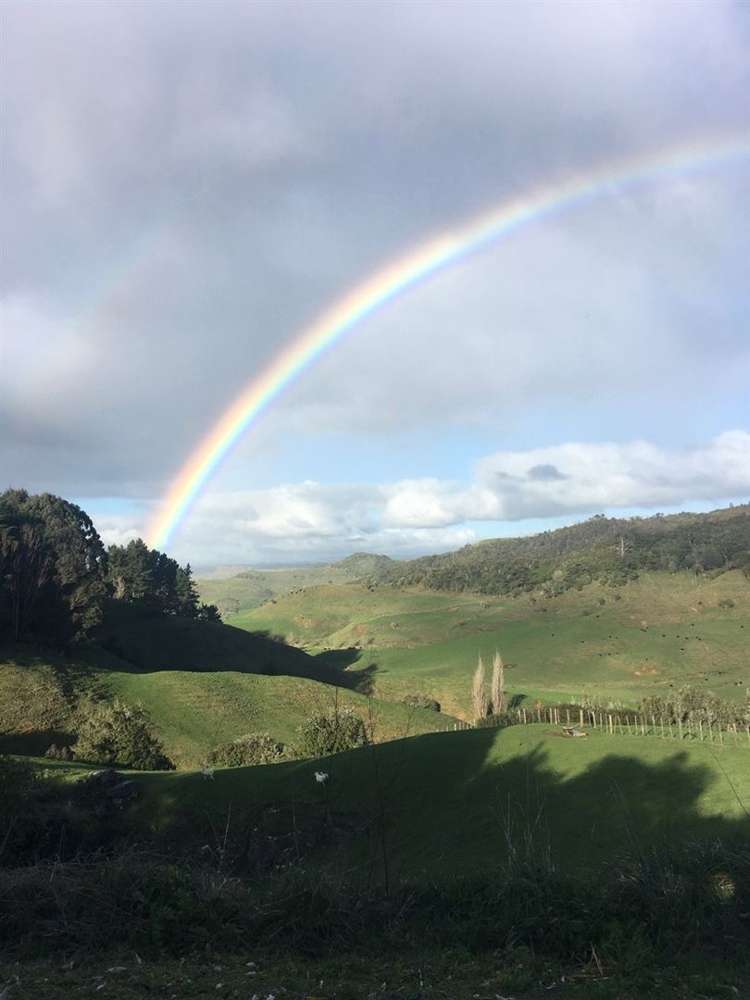 637 Fullerton Road Waitomo_34