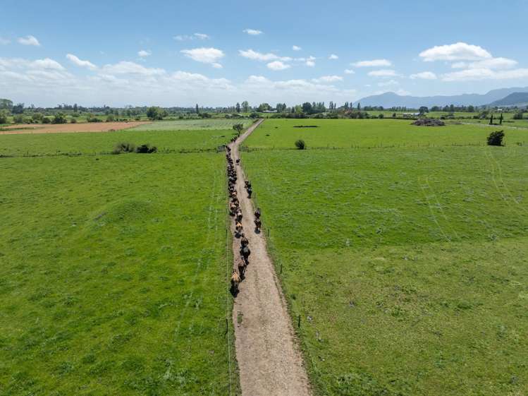 2031 Old Te Aroha Road Matamata-piako Surrounds_23