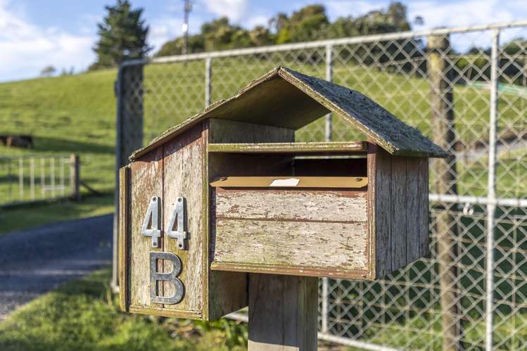 44B Crosland Road South Head_59