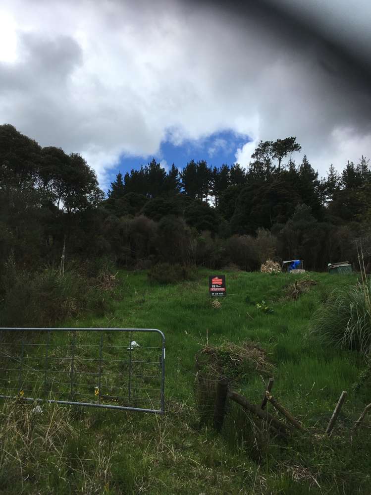 3820 State Highway 1 Towai_5