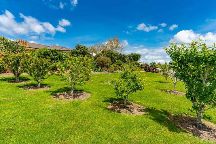 52 Vista Lane Kaiwaka_23