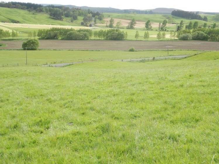 1011 Birchwood Wairio Road Birchwood_2