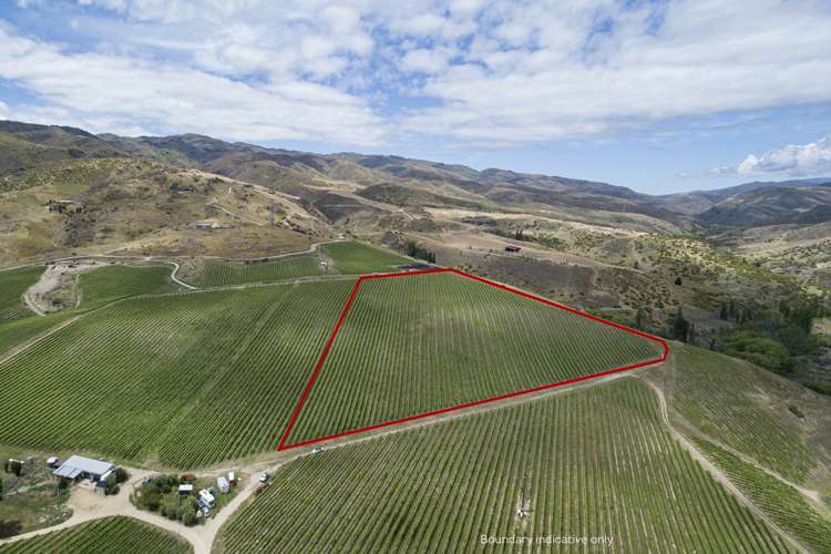 Cairnmuir Road Nevis_5