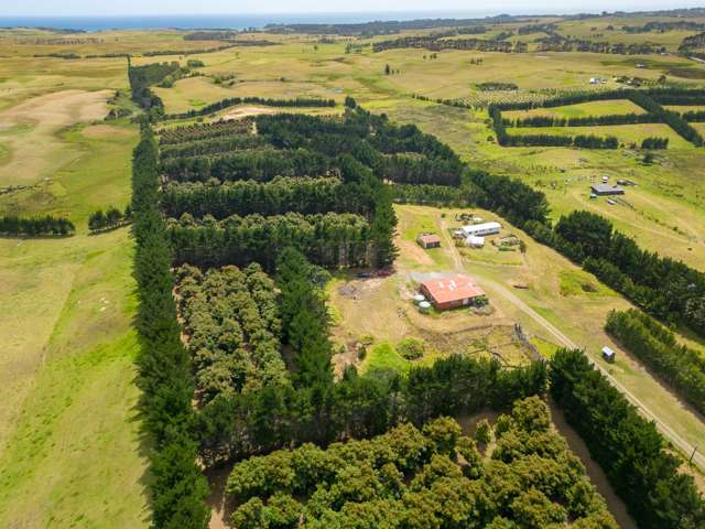 5126 State Highway One Ngataki_1