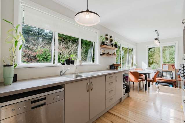 19 Trapski Drive Otorohanga_1