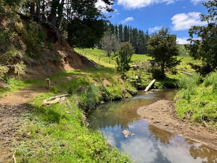 56 Ha Ha Road Pakotai_8