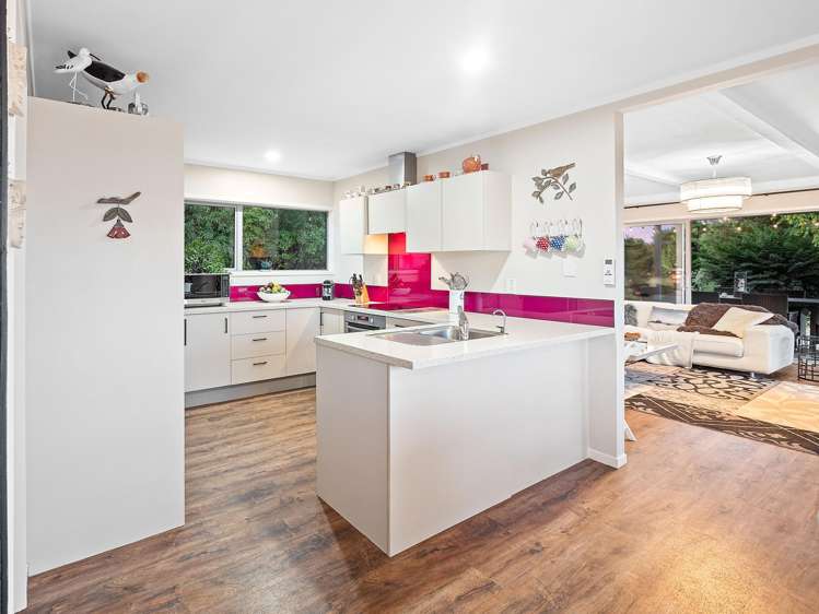 313 Youngson Road Whakamarama_4