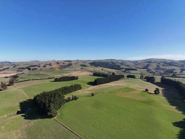 Grange Hill Road Dunback_4